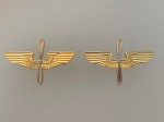 WWII U.S. Army Air Corps Officers collar insignia