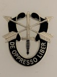 U.S. Special Forces enamel beret crest