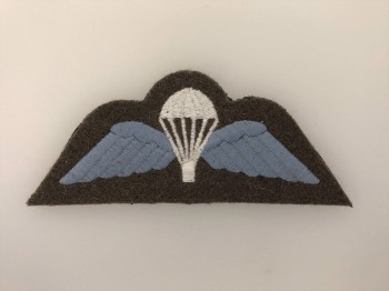 British Army Paratroopers cloth sleeve wings current issue