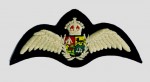 WWII Royal South African Air Force Pilot's cloth wings.