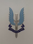 Special Air Service enamel lapel pin silvered
