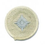 Afrika Korps or tropical Obershutze sleeve star