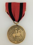 American Indian Wars Medal