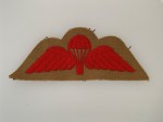 Royal Marine's Paratrooper's tropical issue cloth sleeve wings