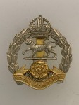 Royal Hampshire Regiment metal cap or beret badge.