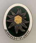 Heeresbergfuhrer breast badge