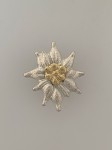 Gebirgsjager Officer's metal visor cap edelweiss
