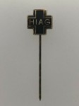 German ex S.S. organisation HIAG Pin.