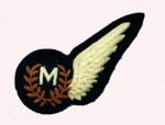 R.A.F. Meteorologist 'M' cloth half wing.