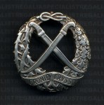 Italian Fascist Fronte Russo breast badge.