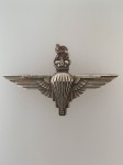 Parachute Regiment Officer's cap badge 'STERLING' . Post 1952.