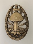 WW2 Slovakian Eastern Front Badge of Honour.