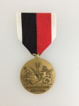 United States MARINE CORPS WWII Occupation Service Medal. Full size.