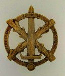 Belgian WW2 Rexist Walloon Fascist Honour Badge Award Bronze  grade.