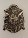 11th Battalion Welsh Regiment (Cardiff Pals) metal cap badge ANTIQUED.