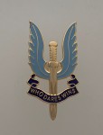 British Military Lapel Badges