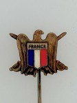 Vichy France French Volunteer Legion lapel pin badge - Legion Tricolore