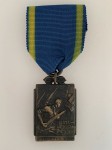 WWII Italian Fascist Anti Aircraft medal.