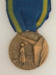WWII Italian fascist Coastal Artillery medal.